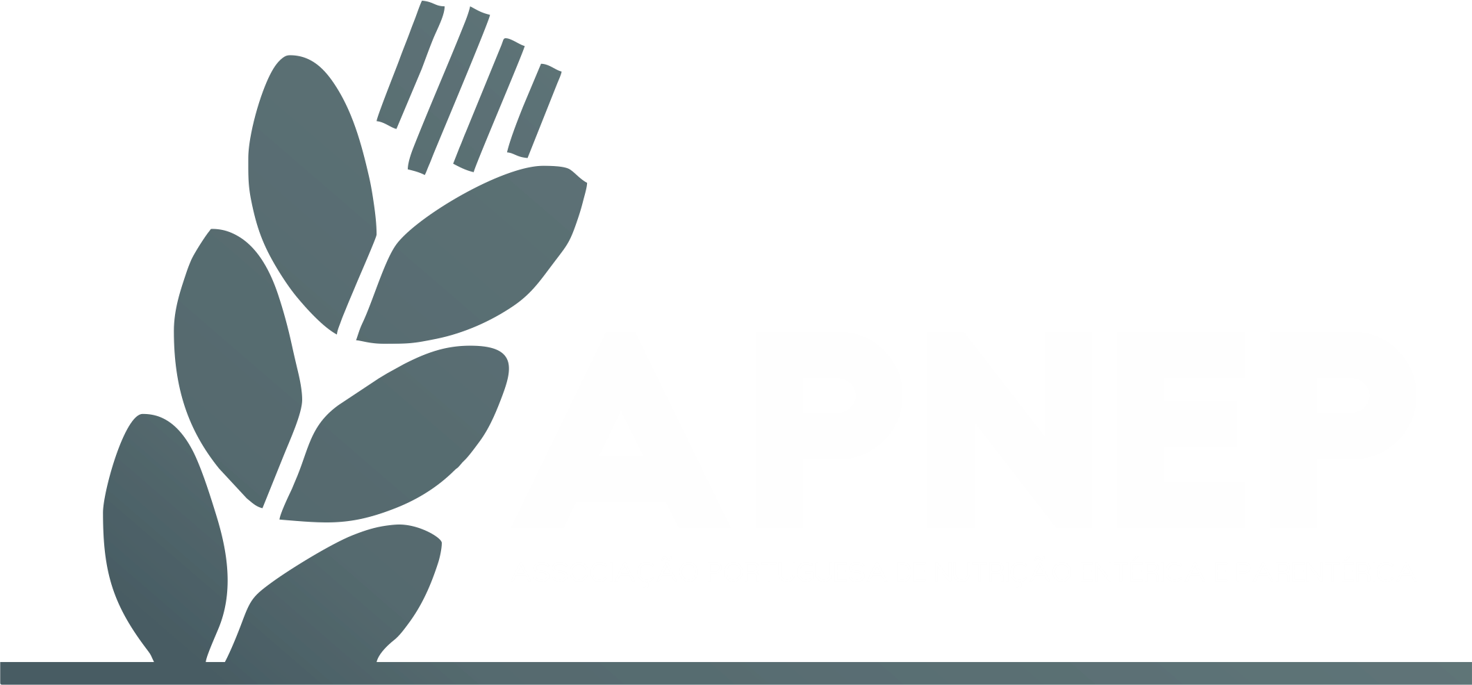 APNEP - Associação Portuguesa de Nutrição Entérica e Parentérica